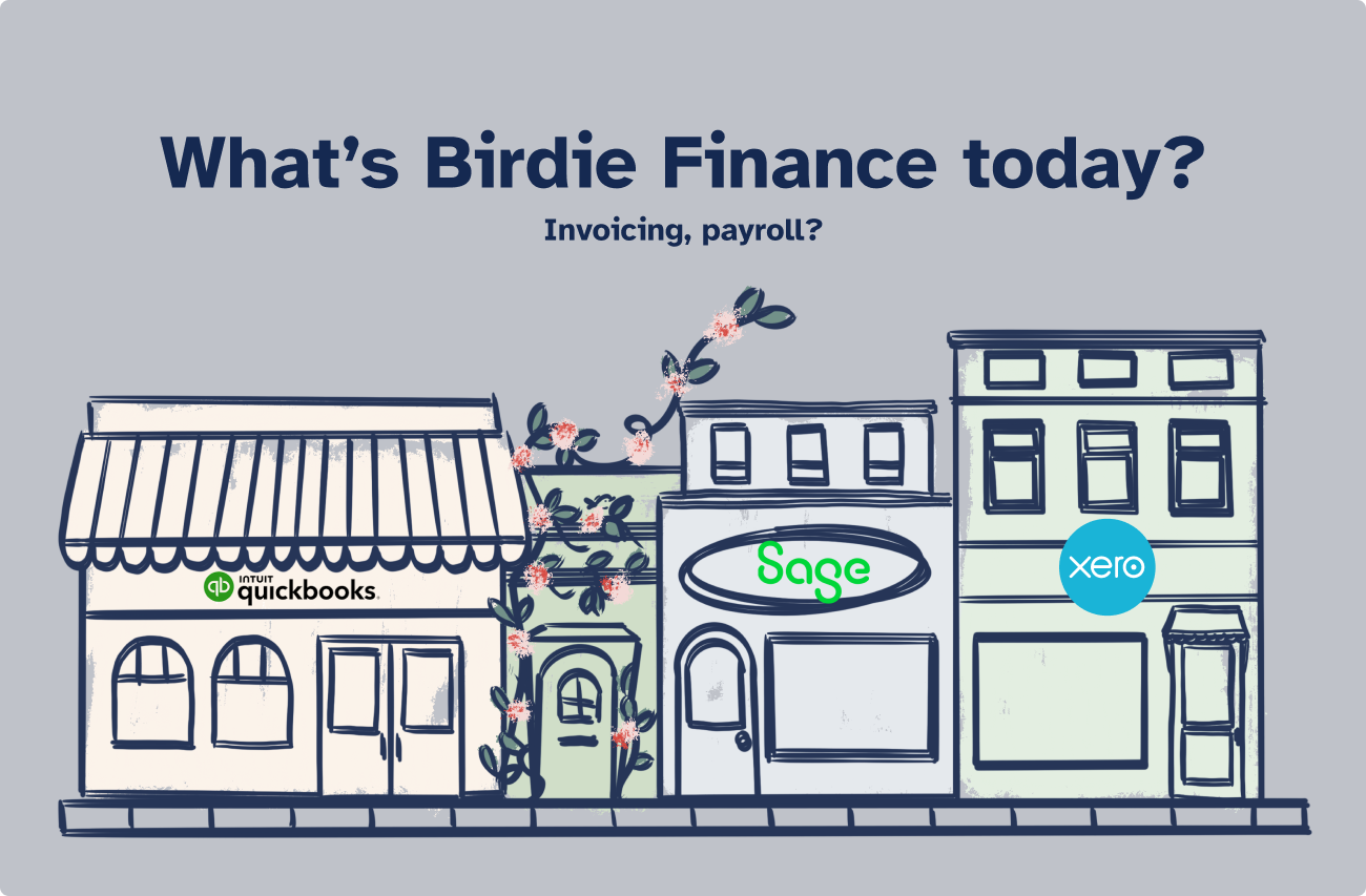 Birdie Finance Vision - shows an illustration of Birdie being a small shop squeezed in between bigger ones, struggling to grow. The bigger ones represent well established invoicing and payroll solutions.